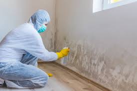 Best Mold Remediation for Healthcare Facilities in Fayetteville, PA