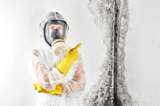 Trusted Fayetteville, PA Mold Removal Experts